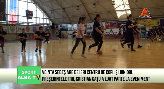 vointa sebes