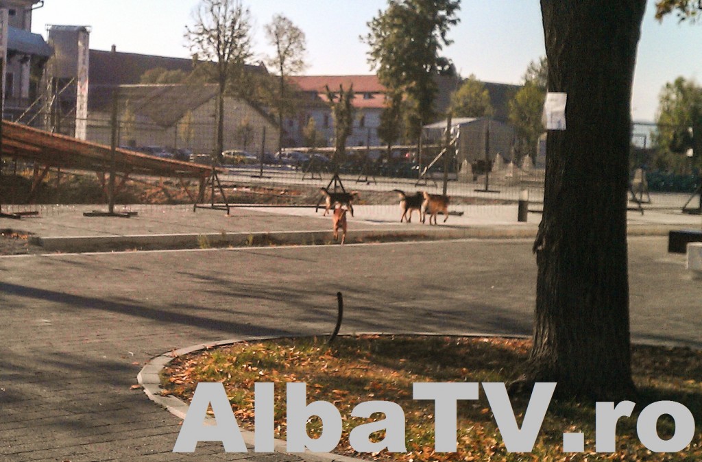 IMAG0536
