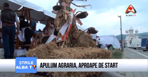 apulum-agaria-aproape-de-start