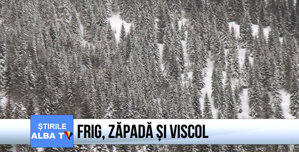 frig-zapada-si-viscol