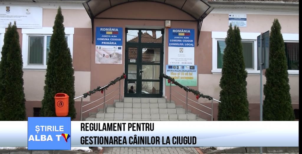 regulament-pentru-gestionarea-cainilor-la-ciugud