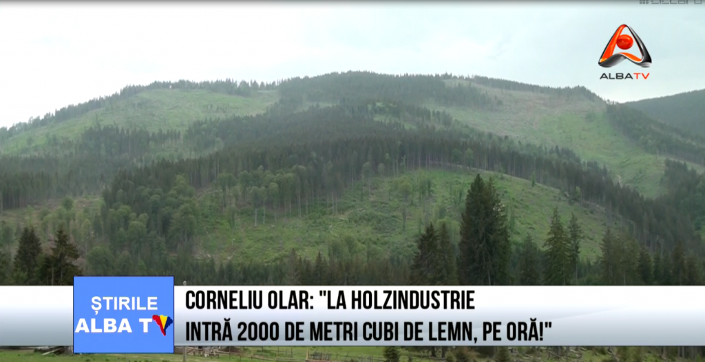 corneliu-olar-la-holzindustrie-intra-2000-de-metri-cubi-de-lemn-pe-ora