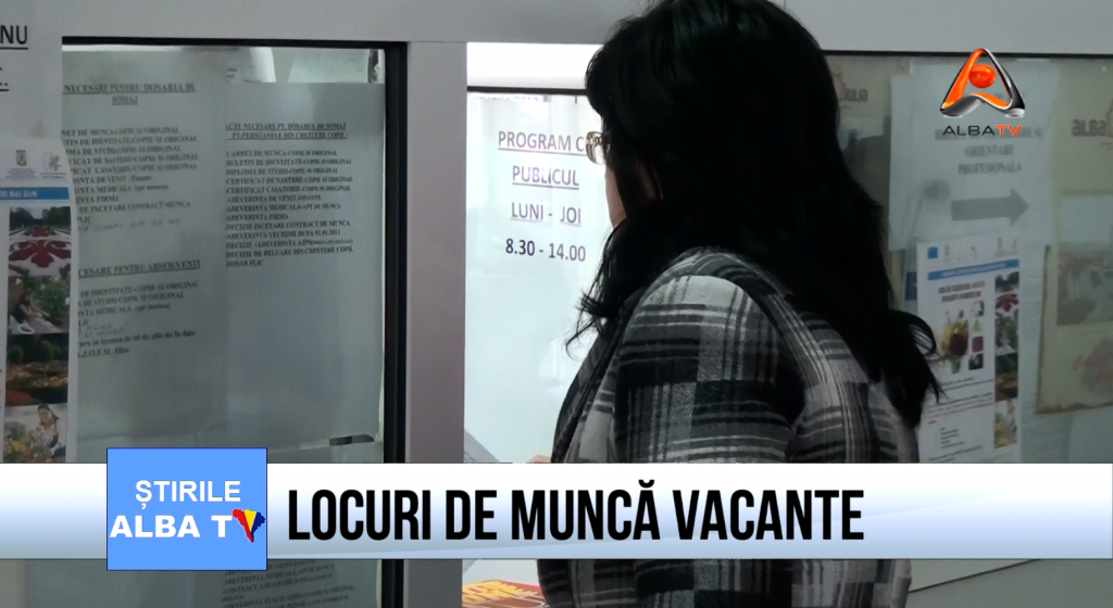 locuri-de-munca-vacante