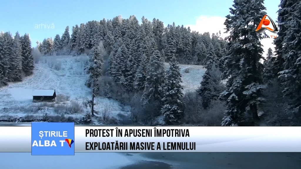 protest-in-apuseni-impotriva-exploatarii-masive-a-lemnului