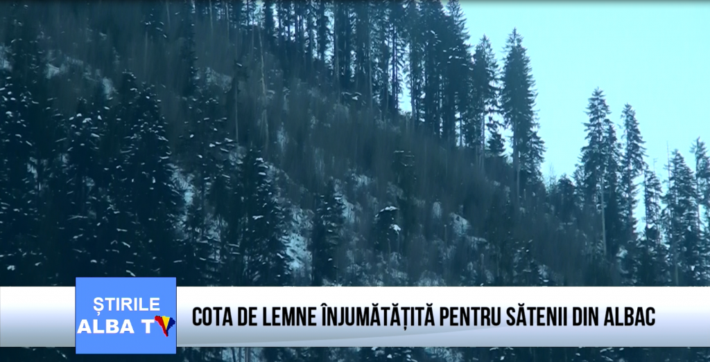 cota-de-lemne-injumatatita-pentru-satenii-din-albac