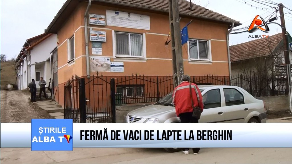 ferma-de-vaci-de-lapte-la-berghin