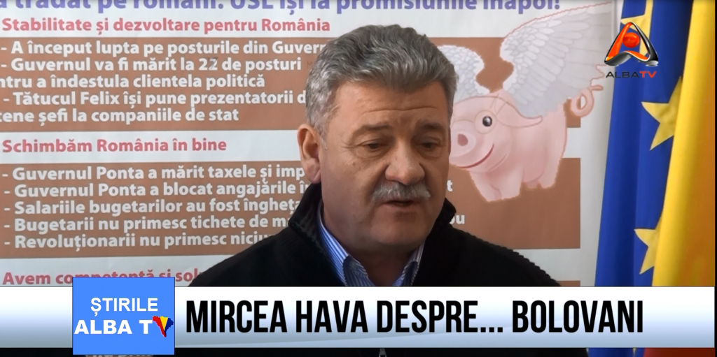 mircea-hava-despre-bolovani