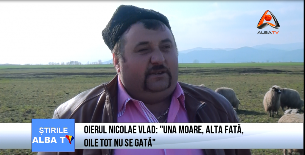 oierul-nicolae-vlad-una-moare-alta-fata-oile-tot-nu-se-gata