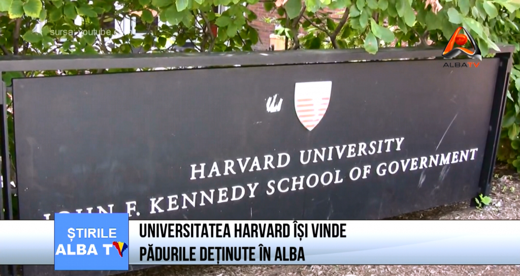 universitatea-harvard-isi-vinde-padurile-detinute-in-alba