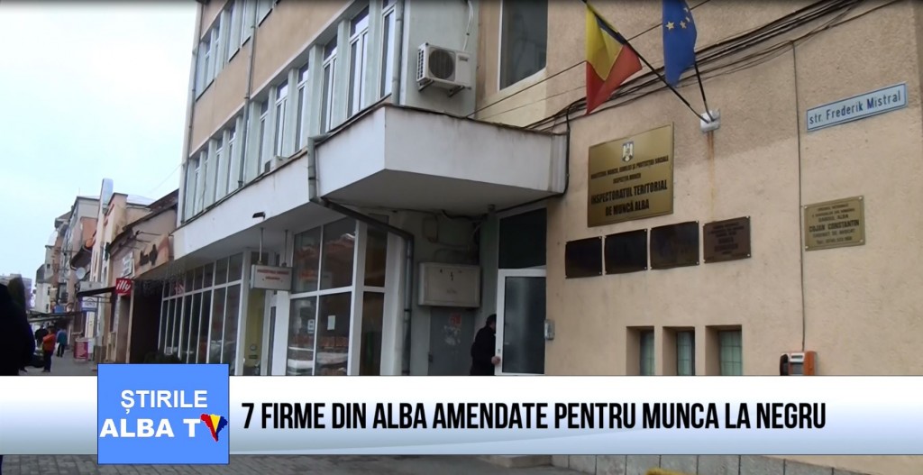 7 firme din alba