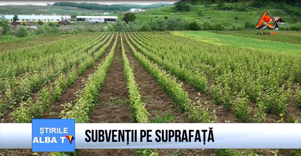 Subventi-pe-suprafata