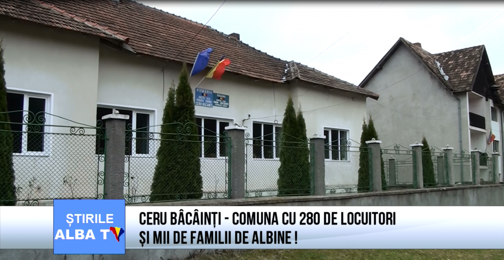 ceru-bacainti-comuna-cu-280-de-locuitori-si-mii-de-familii-de-albine