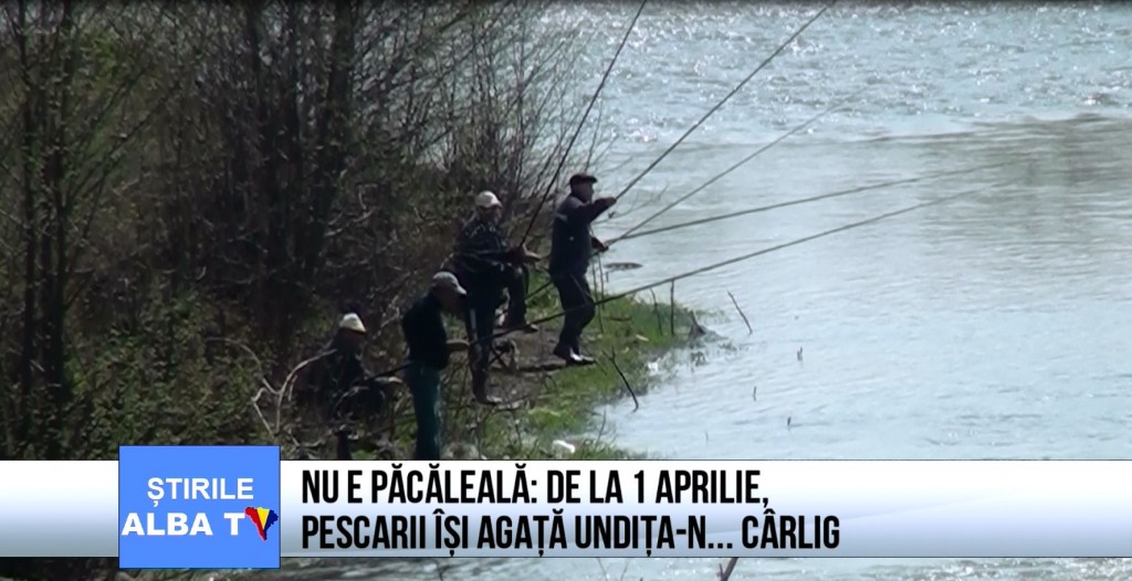 nu e pacaleala