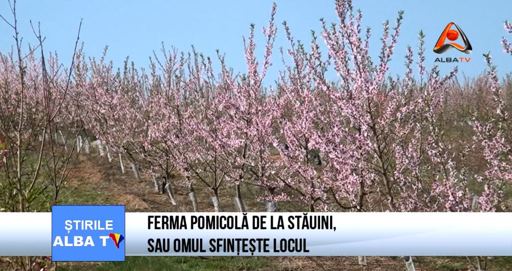 ferma-pomicola-de-la-stauini-sau-omul-sfinteste-locul