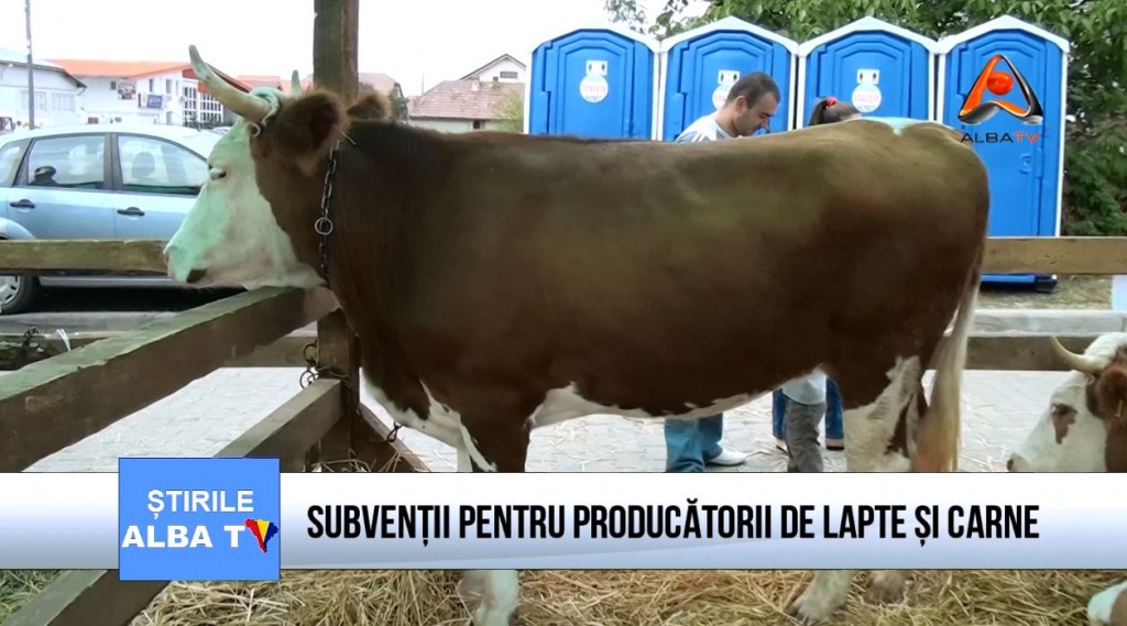 subventii-pentru-producatorii-de-lapte-si-carne