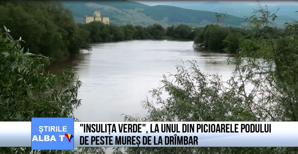 Insulita-verde-la-unul-din-picioarele-podului-de-peste-Mures-de-la-Drimbar