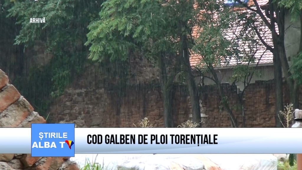 cod-galben-de-ploi-torentiale