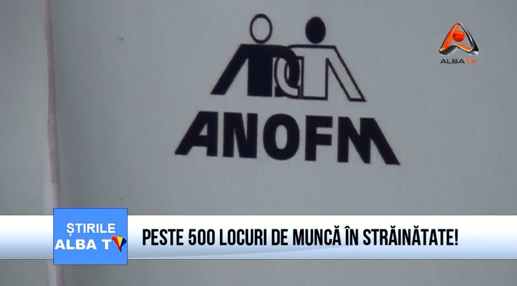 peste-500-locuri-de-munca-in-strainatate