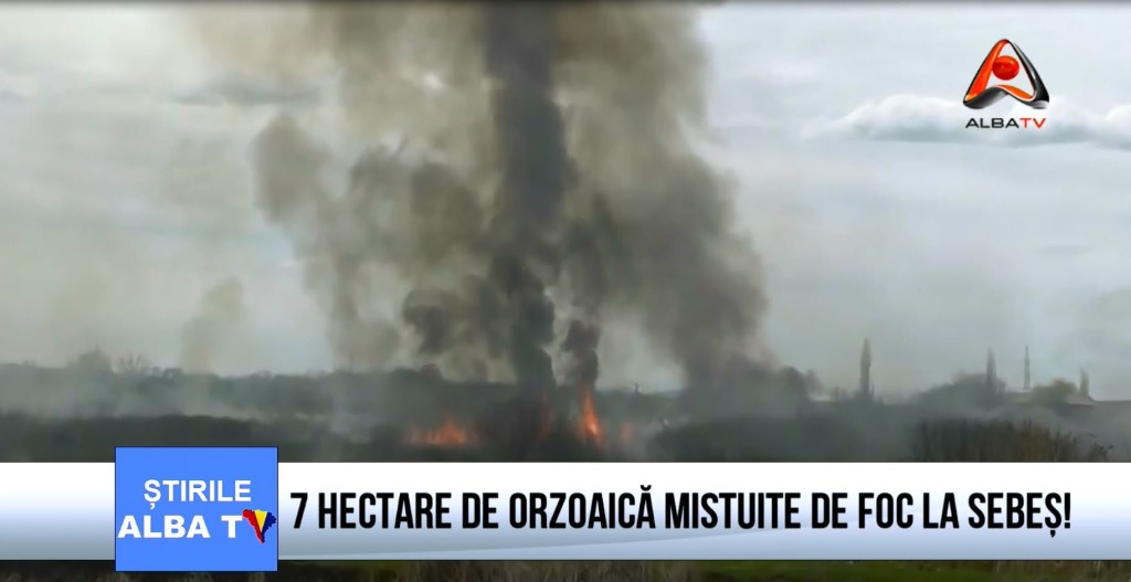 7-HECTARE-DE-ORZOAICA-MISTUITE-DE-FOC-LA-SEBES