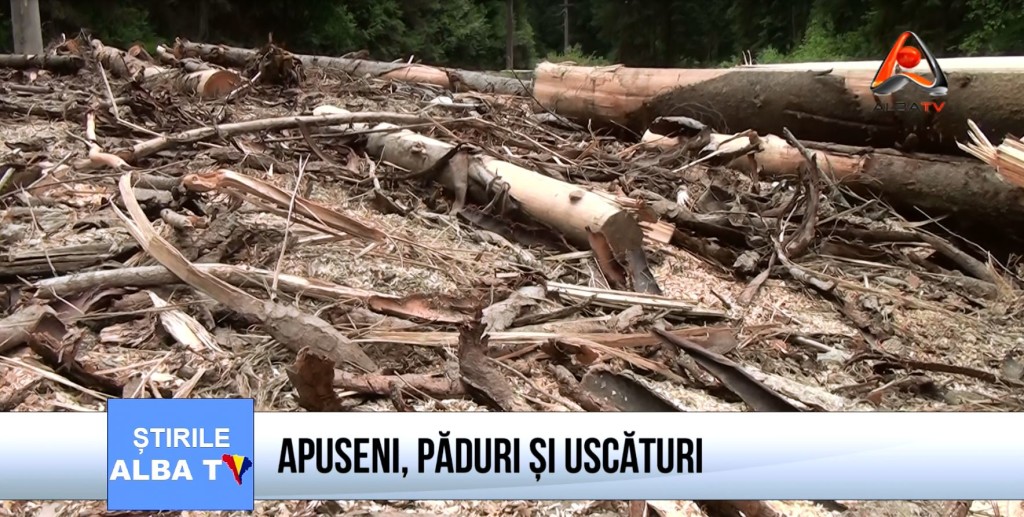 Apuseni-paduri-si-uscaturi