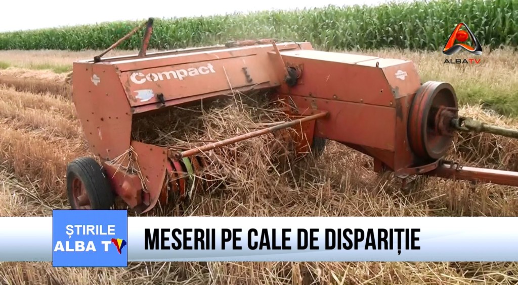 MESERII-PE-CALE-DE-DISPARITIE