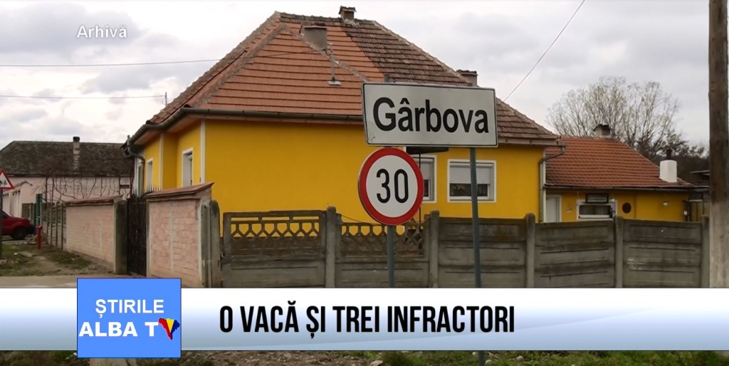 O-vaca-si-trei-infractori