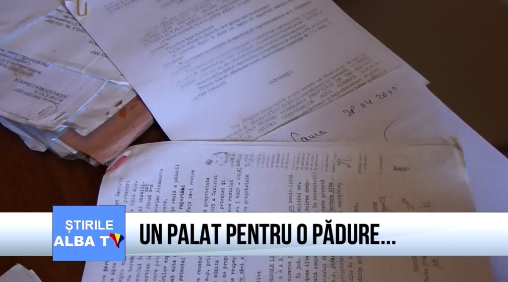 un-palat-pentru-o-padure