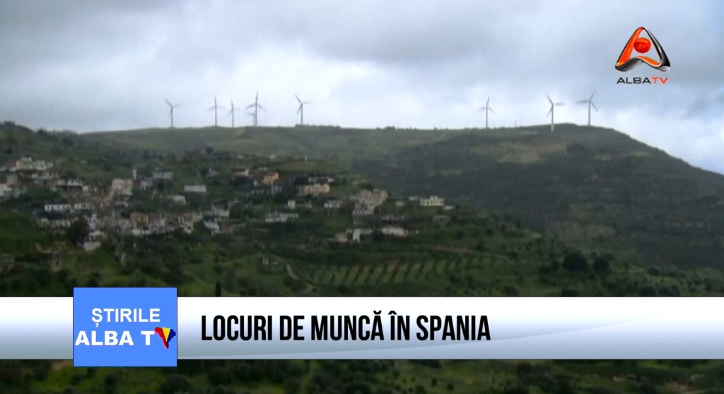 locuri de munca