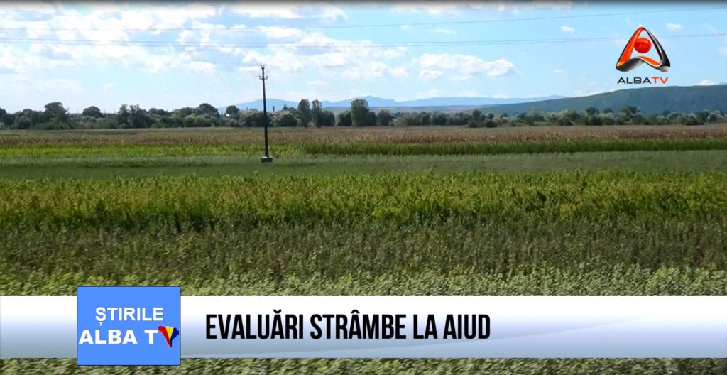evaluari