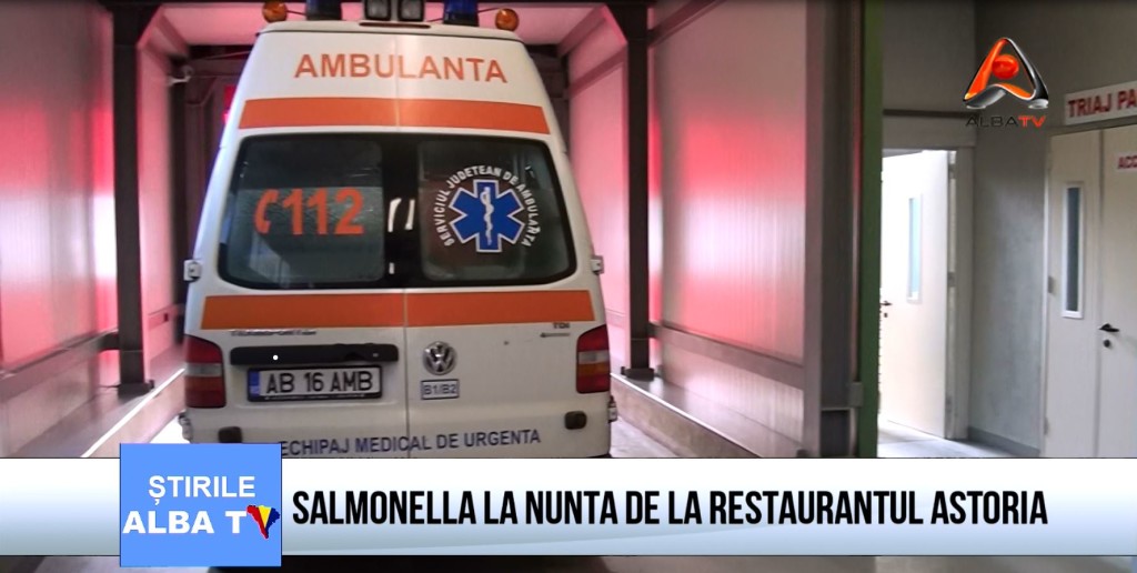 salmonella