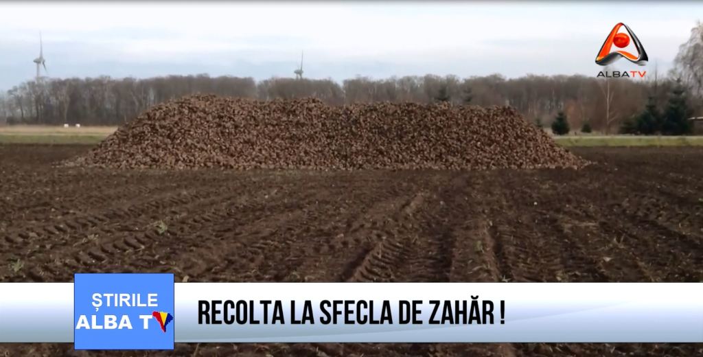 sfecla