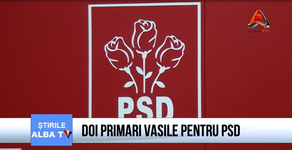 psd primari