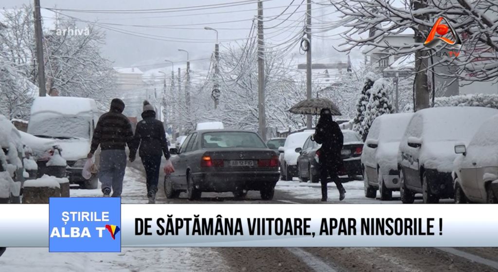 apar ninsorile