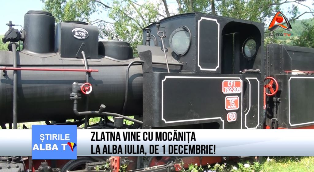 zlatna vine cu mocanita