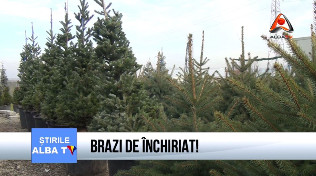 BRAZI DE
