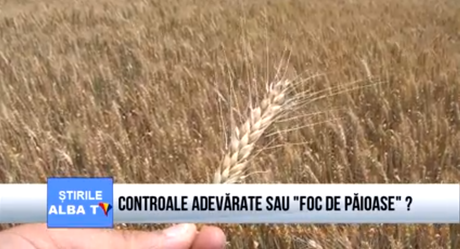 controale-adevarate-sau-foc-de-paioase