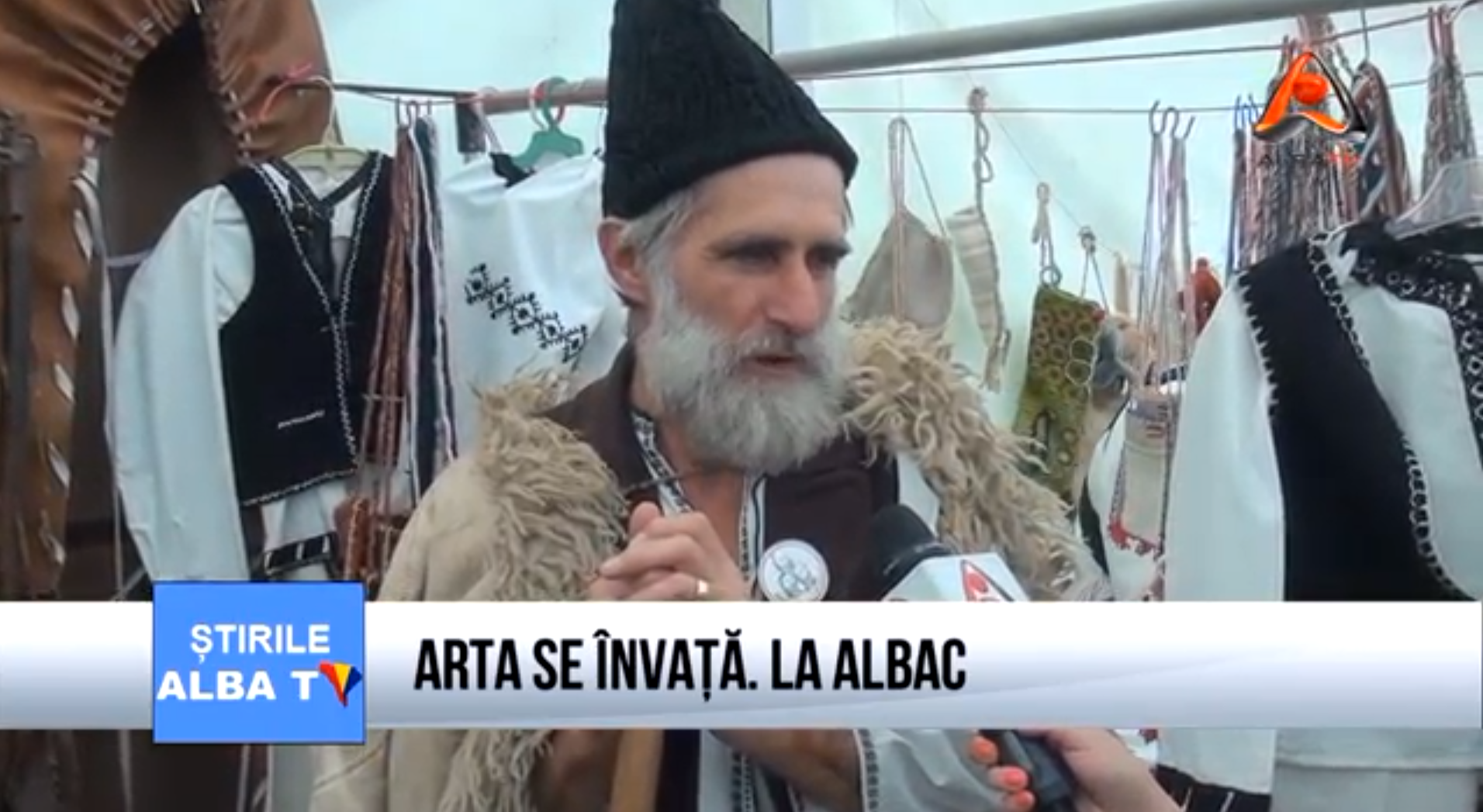 arta-se-invata-la-albac