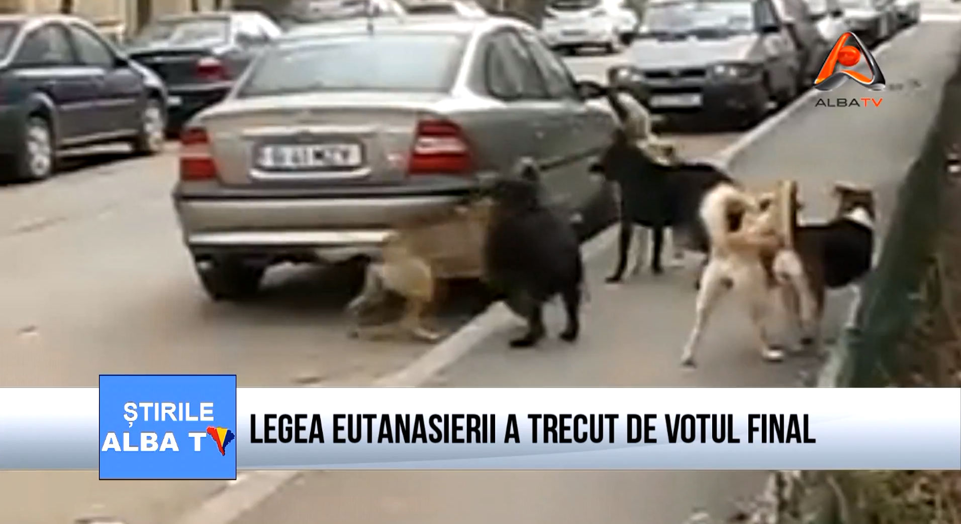 legea-eutanasierii-a-trecut-de-votul-final