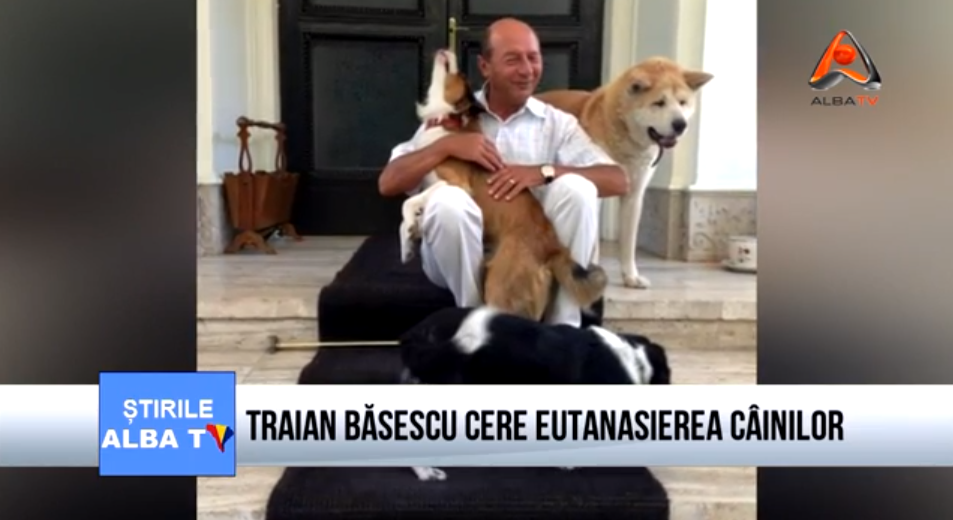 traian-basescu-cere-eutanasierea-cainilor