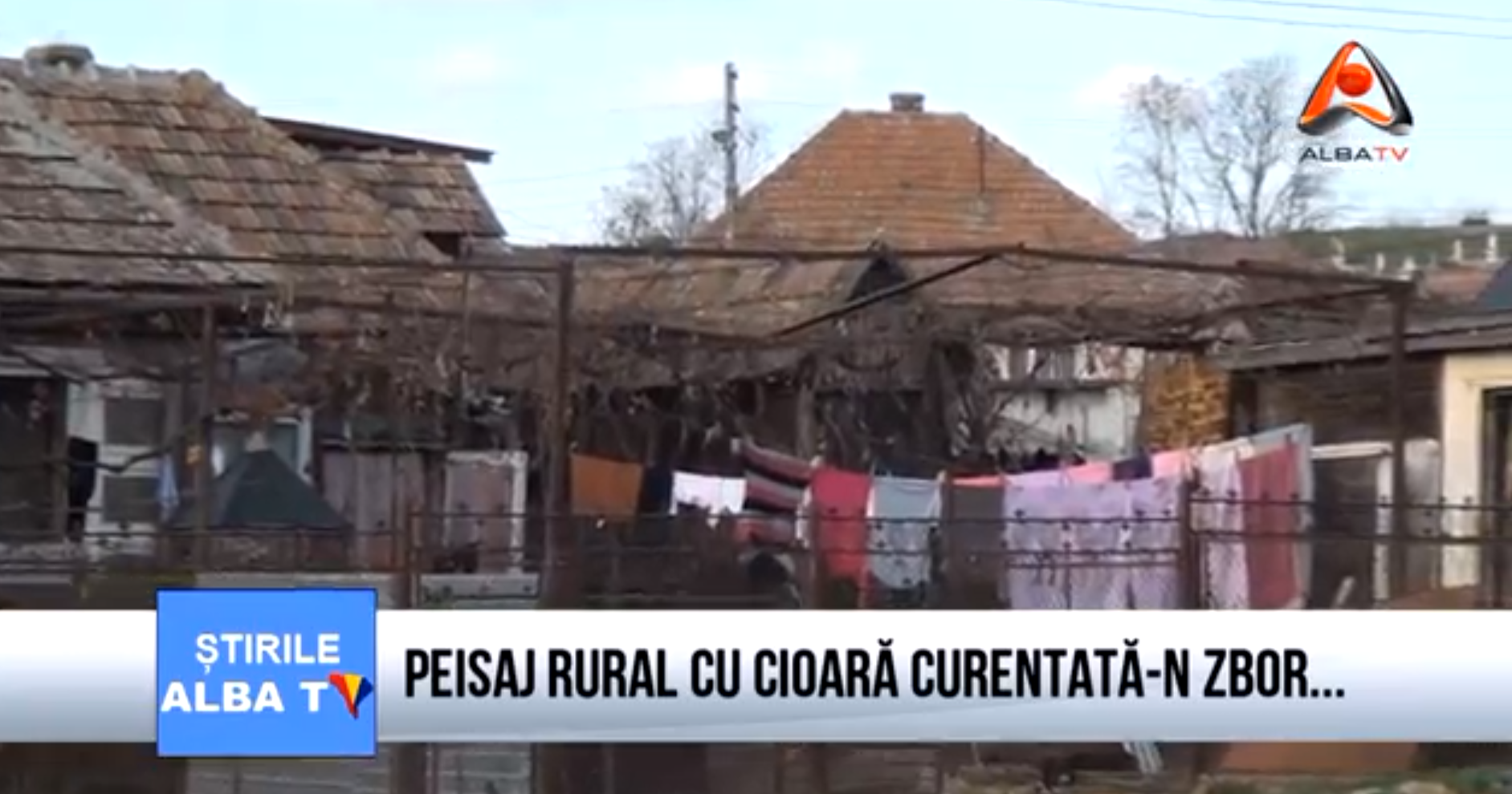 peisaj-rural-cu-cioara-curentata-n-zbor