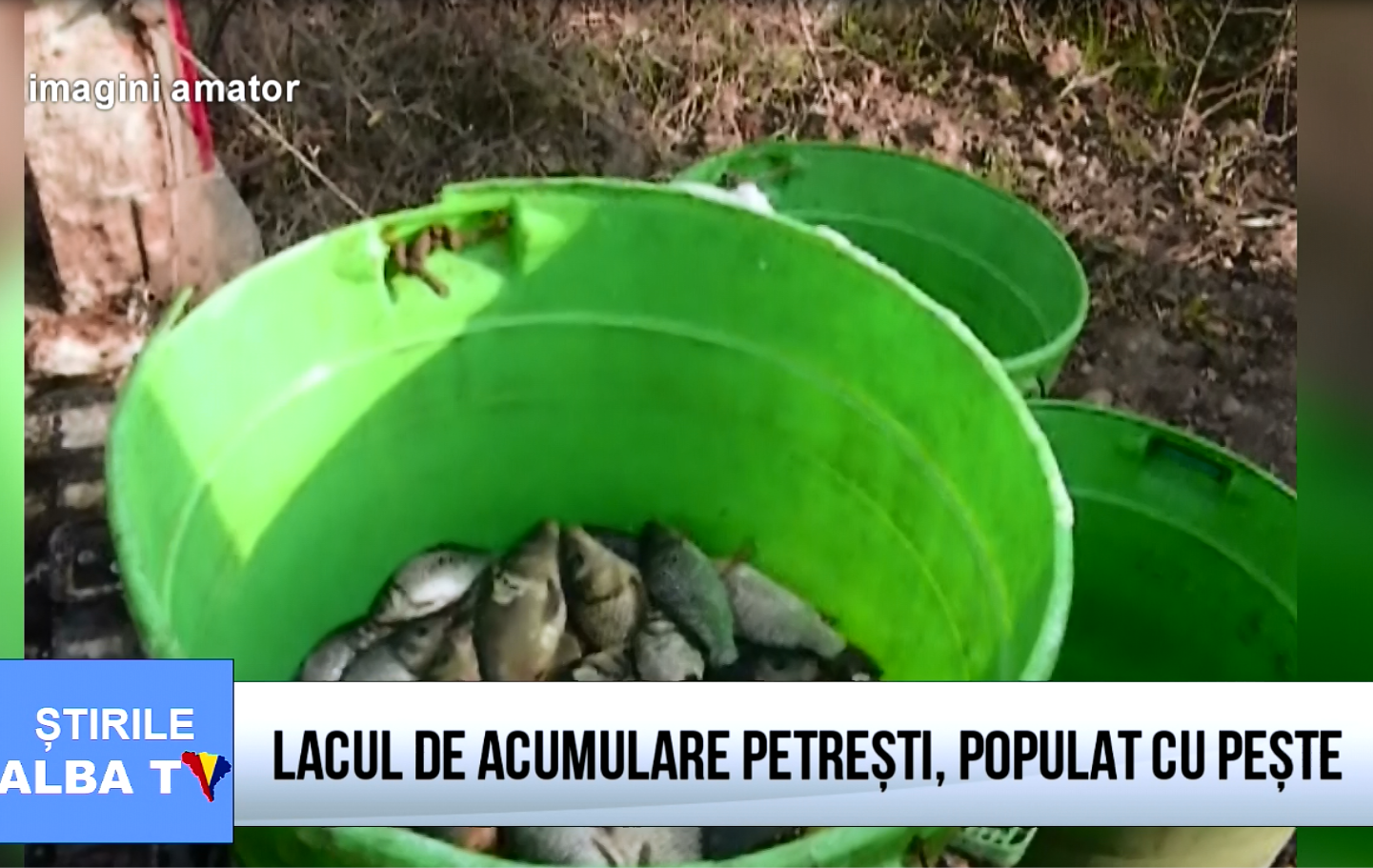 lacul-de-acumulare-petresti-populat-cu-peste
