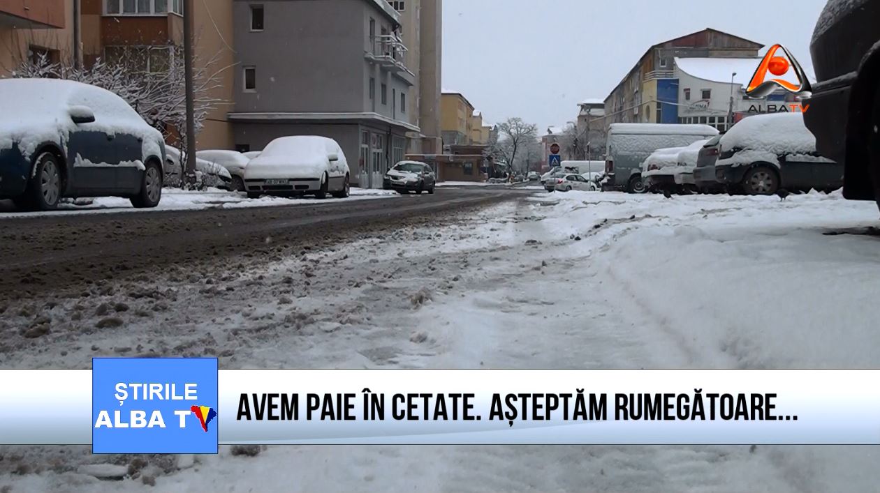 avem-paie-in-cetate-asteptam-rumegatoare
