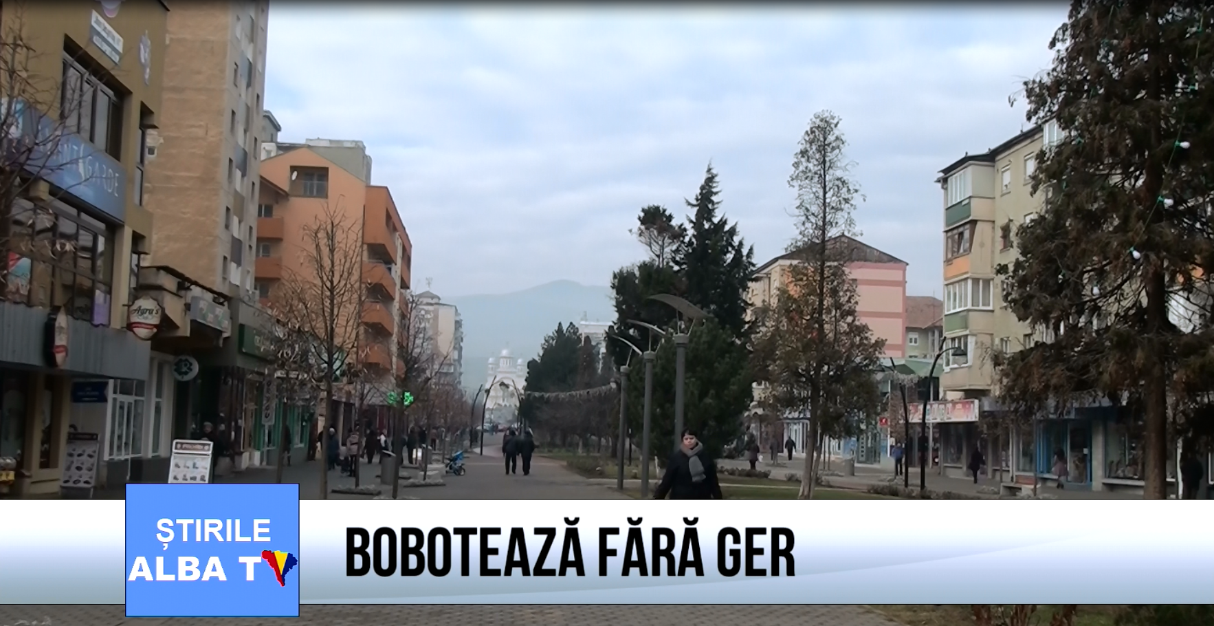 boboteaza-fara-ger