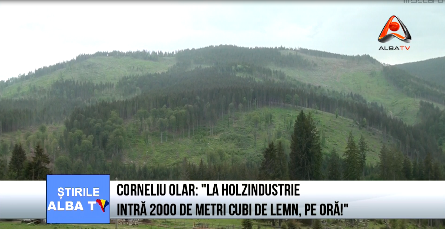 corneliu-olar-la-holzindustrie-intra-2000-de-metri-cubi-de-lemn-pe-ora