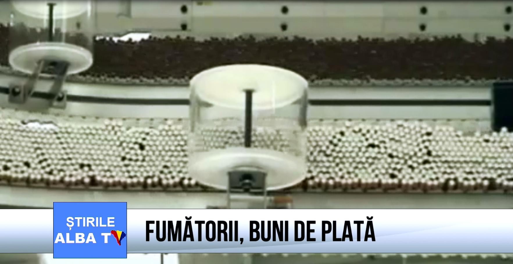fumatorii-buni-de-plata