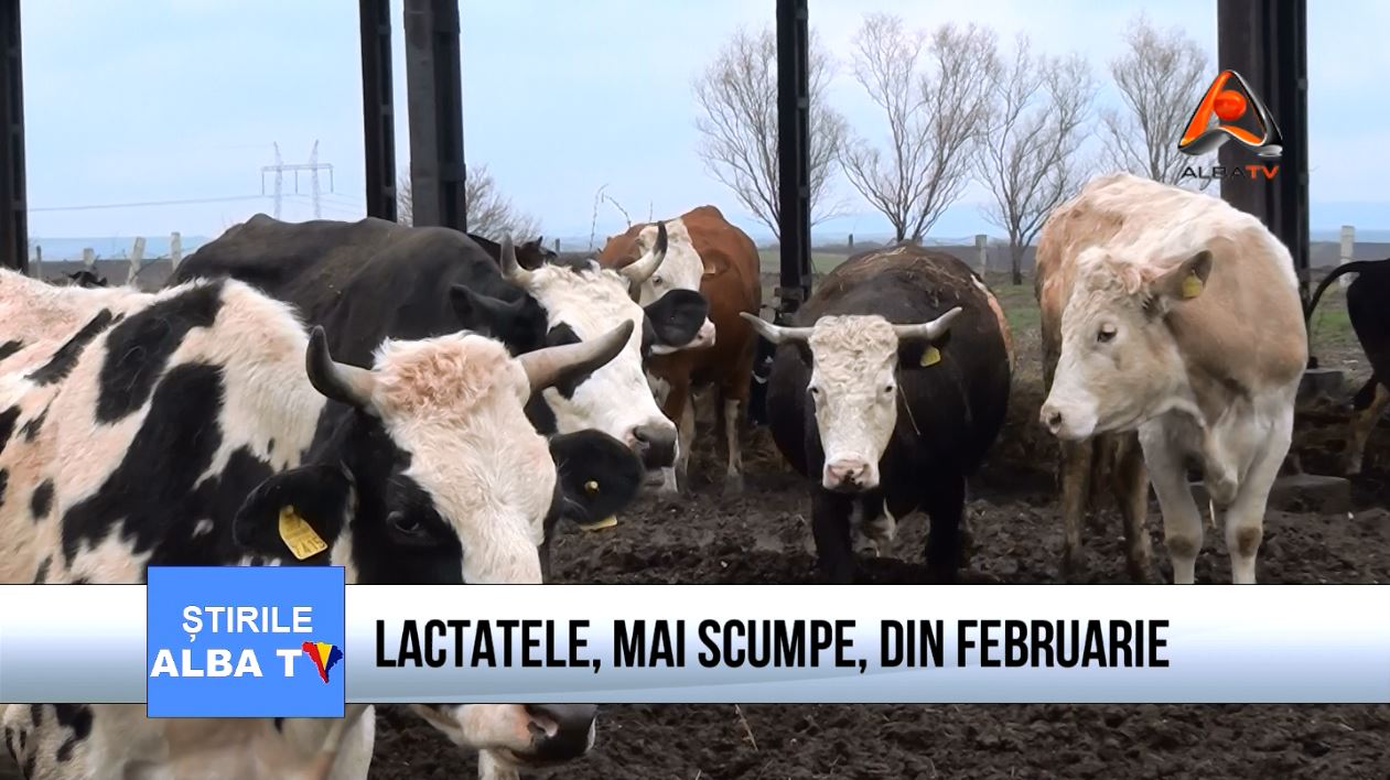 lactatele-mai-scumpe-din-februarie