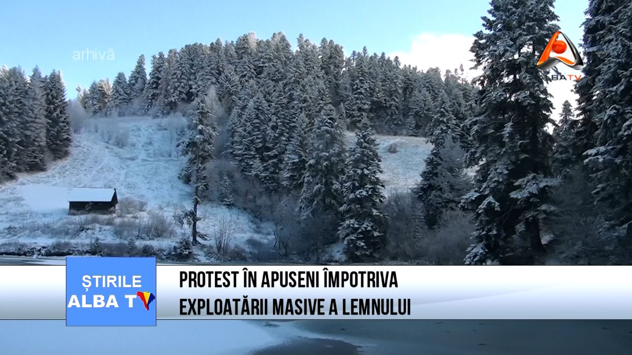 protest-in-apuseni-impotriva-exploatarii-masive-a-lemnului