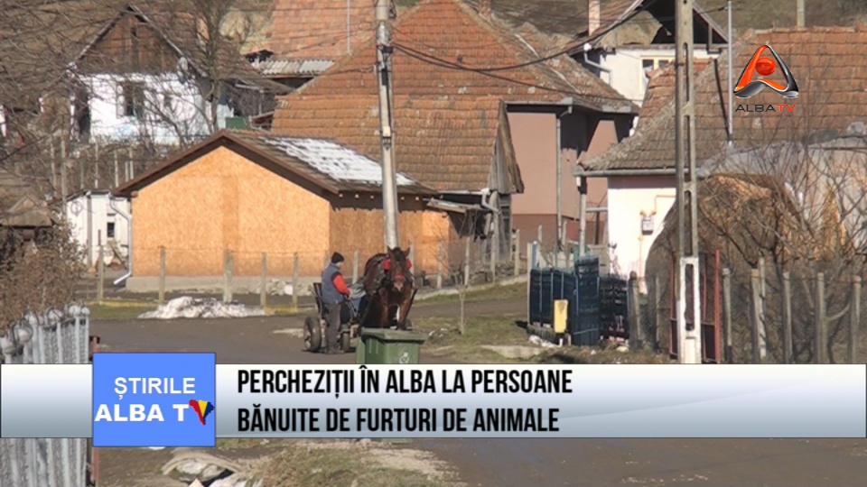 Perchezitii in Alba la persoane banuite de furturi de animale