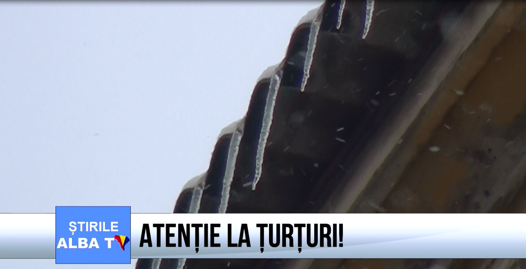 atentie-la-turturi