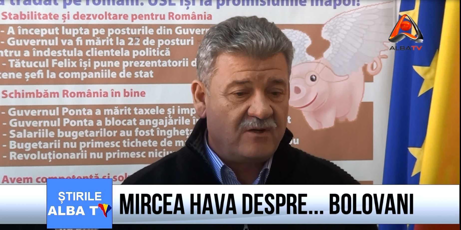 mircea-hava-despre-bolovani